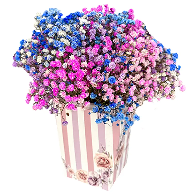 Коробка с цветной гипсофилой, доставка Москва